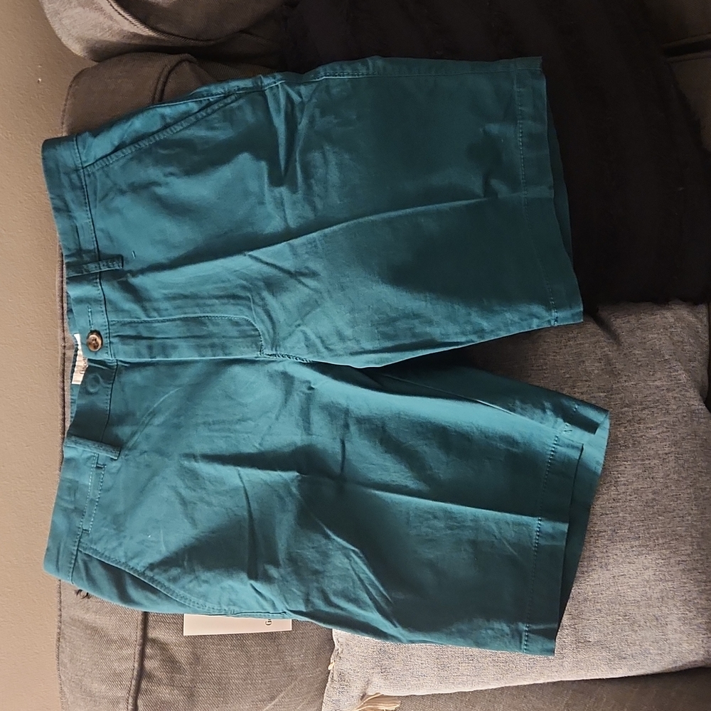 Mens flat front shorts size 32